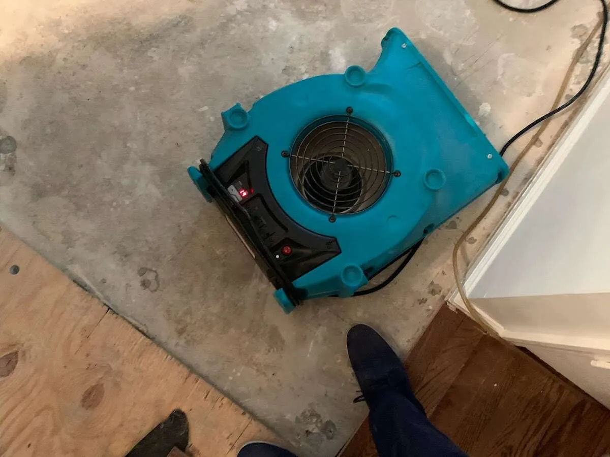 Air mover drying subfloor during Commercial Water Damage Restoration in Woodhaven